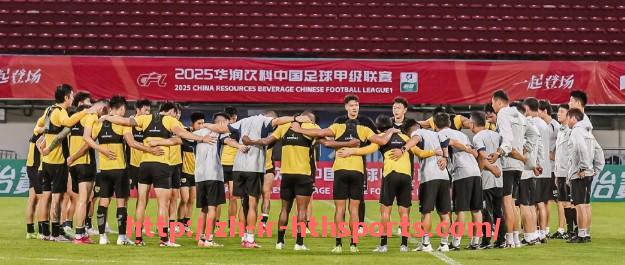 华体会hth登录入口-法甲2024-2025赛季战术结构演变趋势研究报告